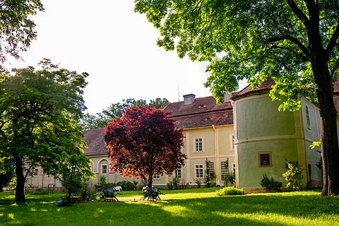 Zámek Luhov – zámecký park